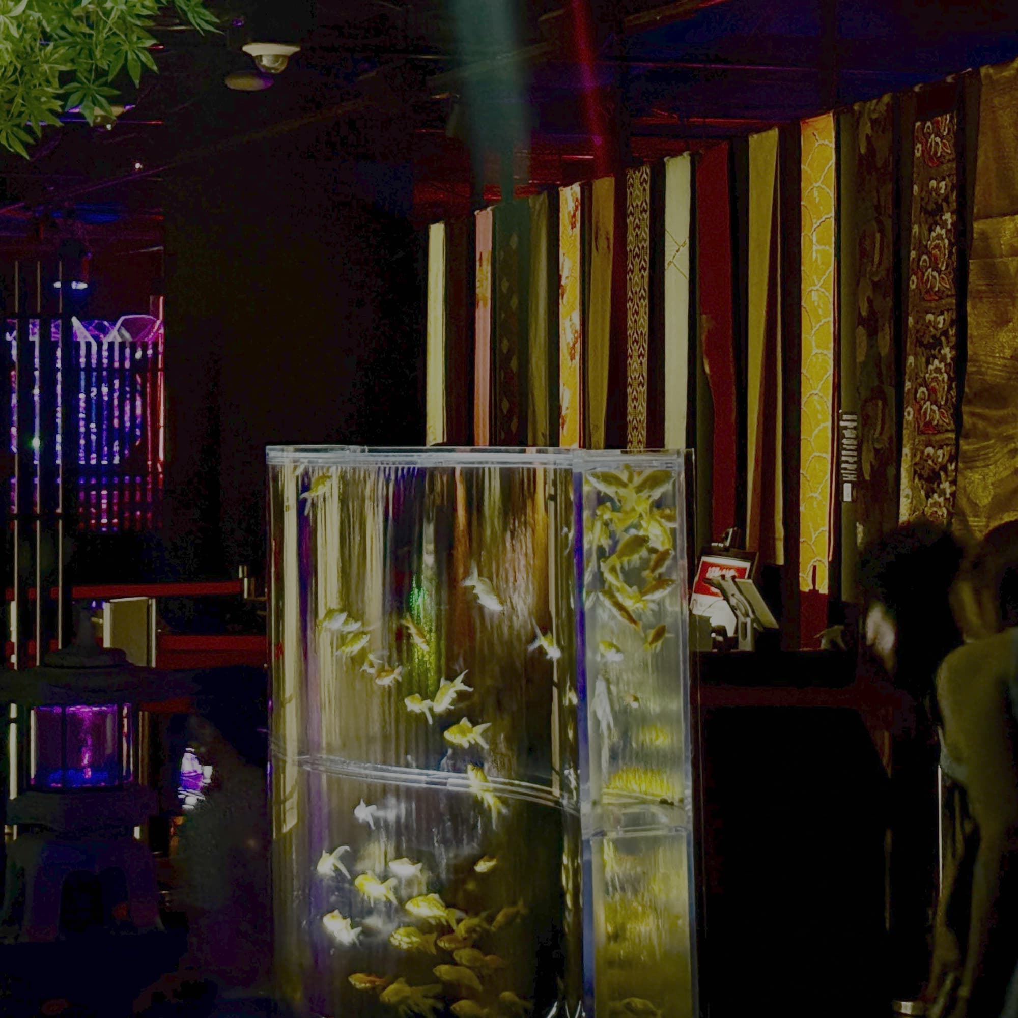 夏のアートアクアリウム2025