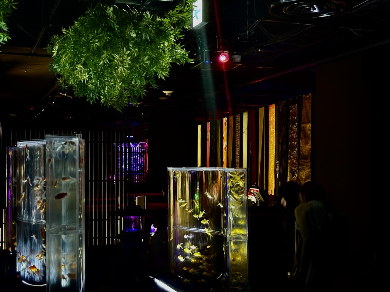 夏のアートアクアリウム2025